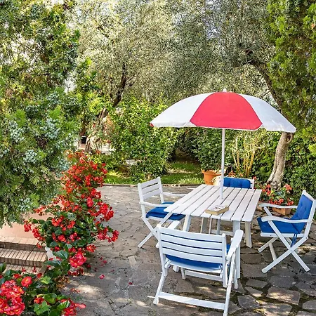 Casa Olivegrove *