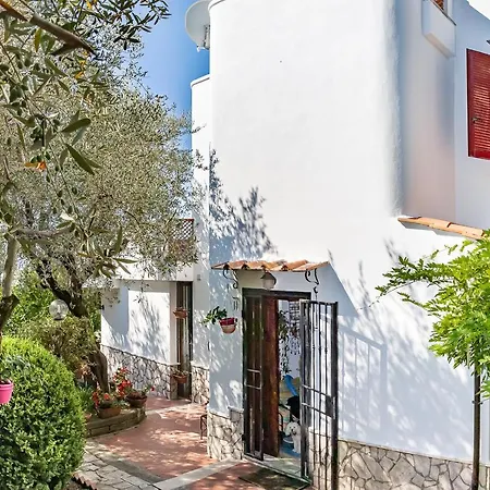 Casa Olivegrove Apartment *